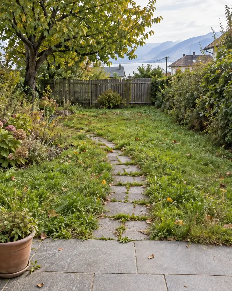 Avant : un jardin à l’herbe haute, le chemin envahi.